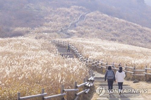 울산 영남알프스