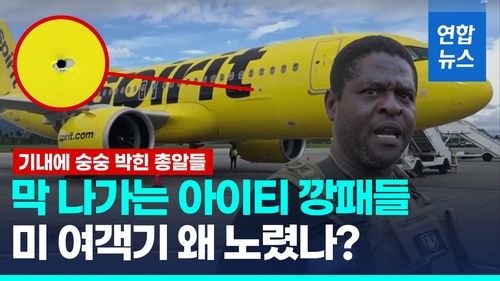 [영상] '무법천지' 아이티서 미 여객기 총탄 맞아…"승무원 1명 부상" - 2