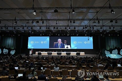 제29차 유엔기후변화협약 당사국 총회(COP29)