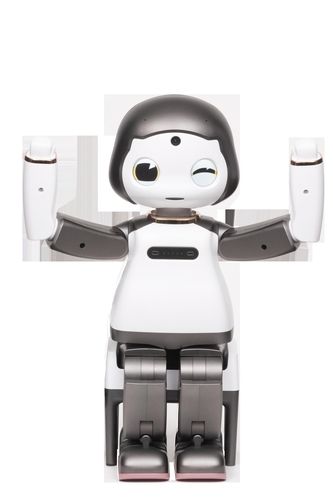 인공지능 로봇 '리쿠'