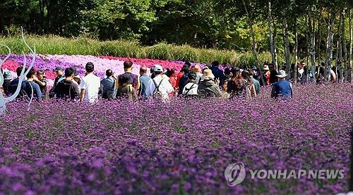 내설악 가을꽃의 향연