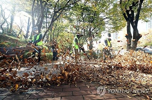 송풍기에 흩날리는 낙엽들