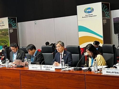 APEC 최종고위관리회의에 참석한 김희상 조정관