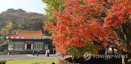 한라산 관음사의 가을