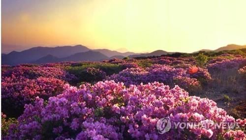 양산시 천성산 