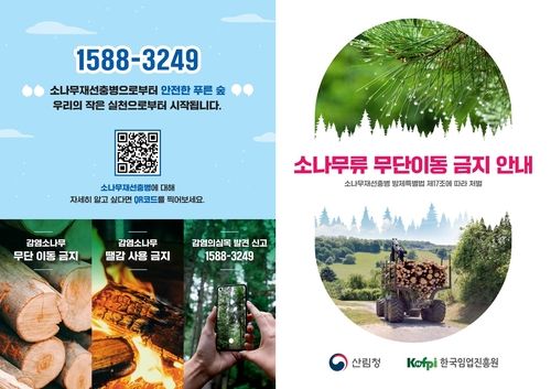 소나무류 무단이동 금지 안내