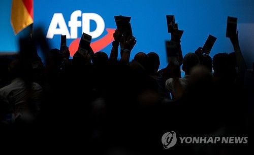 AfD 전당대회