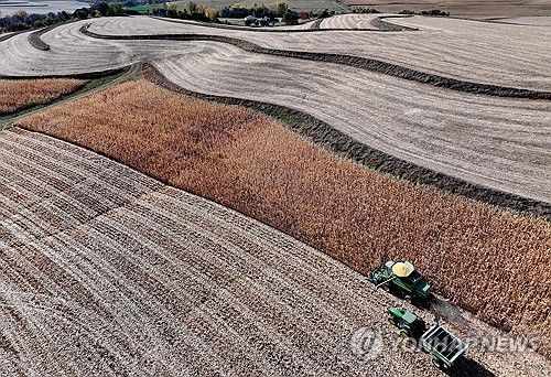 미국의 옥수수 밭