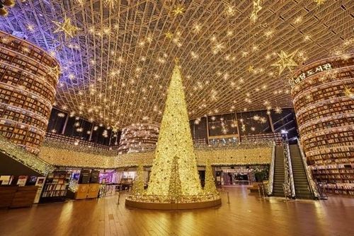 스타필드 코엑스몰 별마당 도서관 '골드 포레스트' 