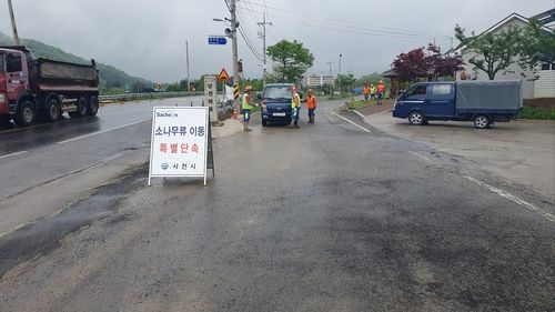 사천시, 소나무류 이동 특별단속