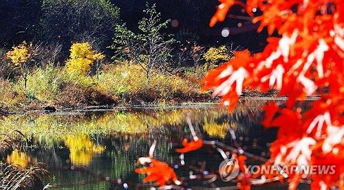 가을 호수의 반영