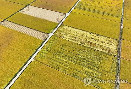 벼멸구 농업 재해 인정
