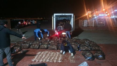 대게 불법 포획 단속 장면