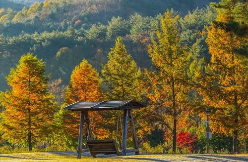 국립백두대간수목원 가을 풍경