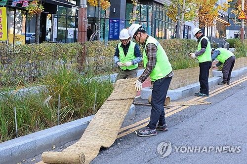본격적인 겨울 준비