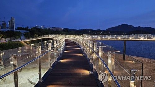 근화수변 문화광장 숲 야간 경관