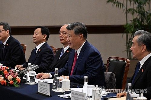 시진핑 중국 국가 주석, 한중 정상회담 발언