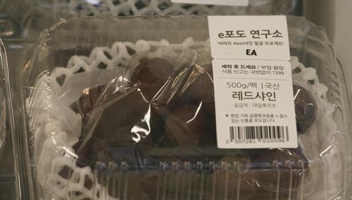 이마트 e포도 연구소 레드샤인