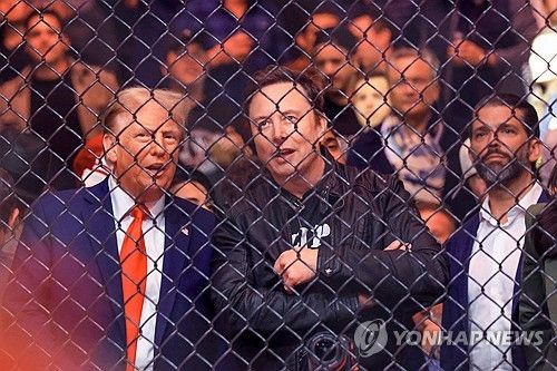 UFC 경기를 직관하는 도널드 트럼프 당선인(좌측)과 일론 머스트(중앙)