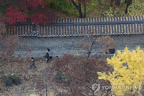 가을이 남기고 간 것들