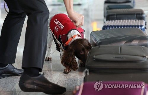공항 마약 탐지견