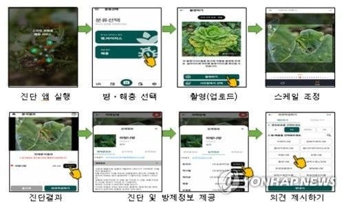 스마트 병해충 진단 서비스 사용 방법