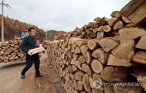 산촌은 이미 겨울 시작…땔감 쌓는 주민