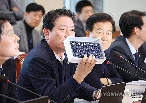 국감장에 등장한 '디올백'