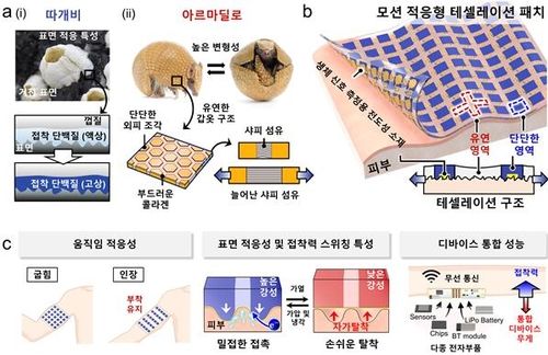 따개비와 아르마딜로를 모방한 피부 패치 구조