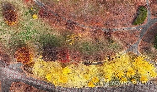 가을이 그린 추상화