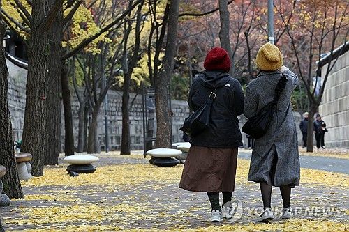 단풍을 닮은 겨울모자