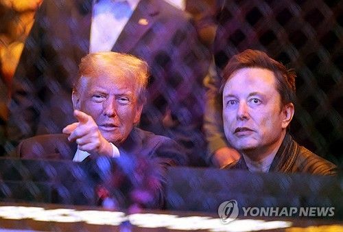 지난 16일 도널드 트럼프 미국 대통령 당선인와 함께 UFC 경기 참관하는 일론 머스크