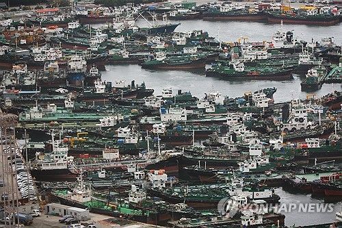 태풍 피해 부산항에 피항한 선박들