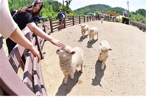 영월 펫힐링 달빛동물원