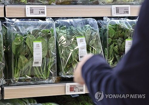 '가격 급등' 시금치 할인 행사 시작한 대형마트