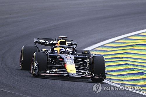 상파울로 GP 예선에서 질주하는 막스 페르스타펀