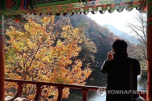 백양사 쌍계루에 핀 단풍