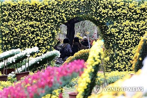 한림공원 국화축제