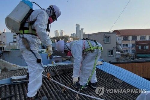 석면 지붕 철거