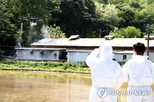 양돈농장 아프리카돼지열병 유입 차단에 총력