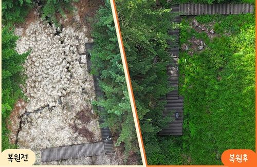 정령치습지 복원사업 전후 모습