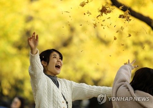 일본 도쿄 가을 단풍 풍경