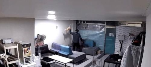 고양이 명숙이를 폭행하는 장면