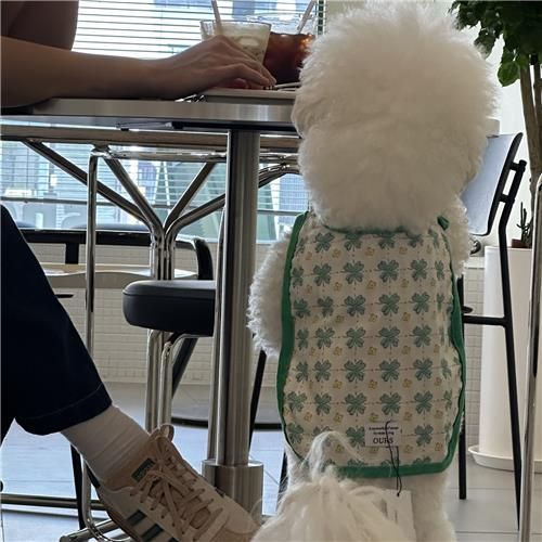 반려동물 출입 음식점