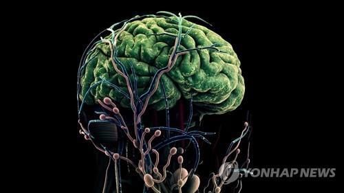 인간의 뇌를 형상화한 그래픽