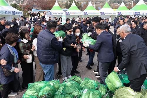 배추 증정 행사
