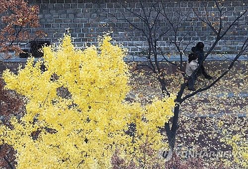 가을에서 겨울로 가는 풍경