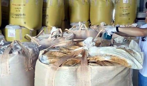 항생제 성분 검출 사료에서 시료 채취