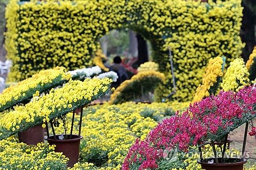 한림공원 국화축제