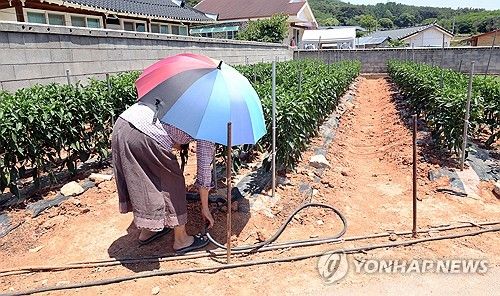 [연합뉴스 자료사진]